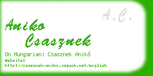 aniko csasznek business card