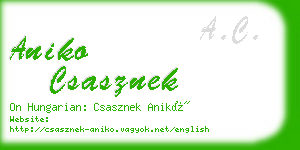 aniko csasznek business card